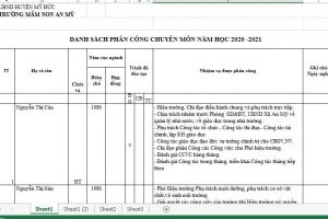 DANH SÁCH PHÂN CÔNG CHUYÊN MÔN NĂM HỌC 2020 -2021